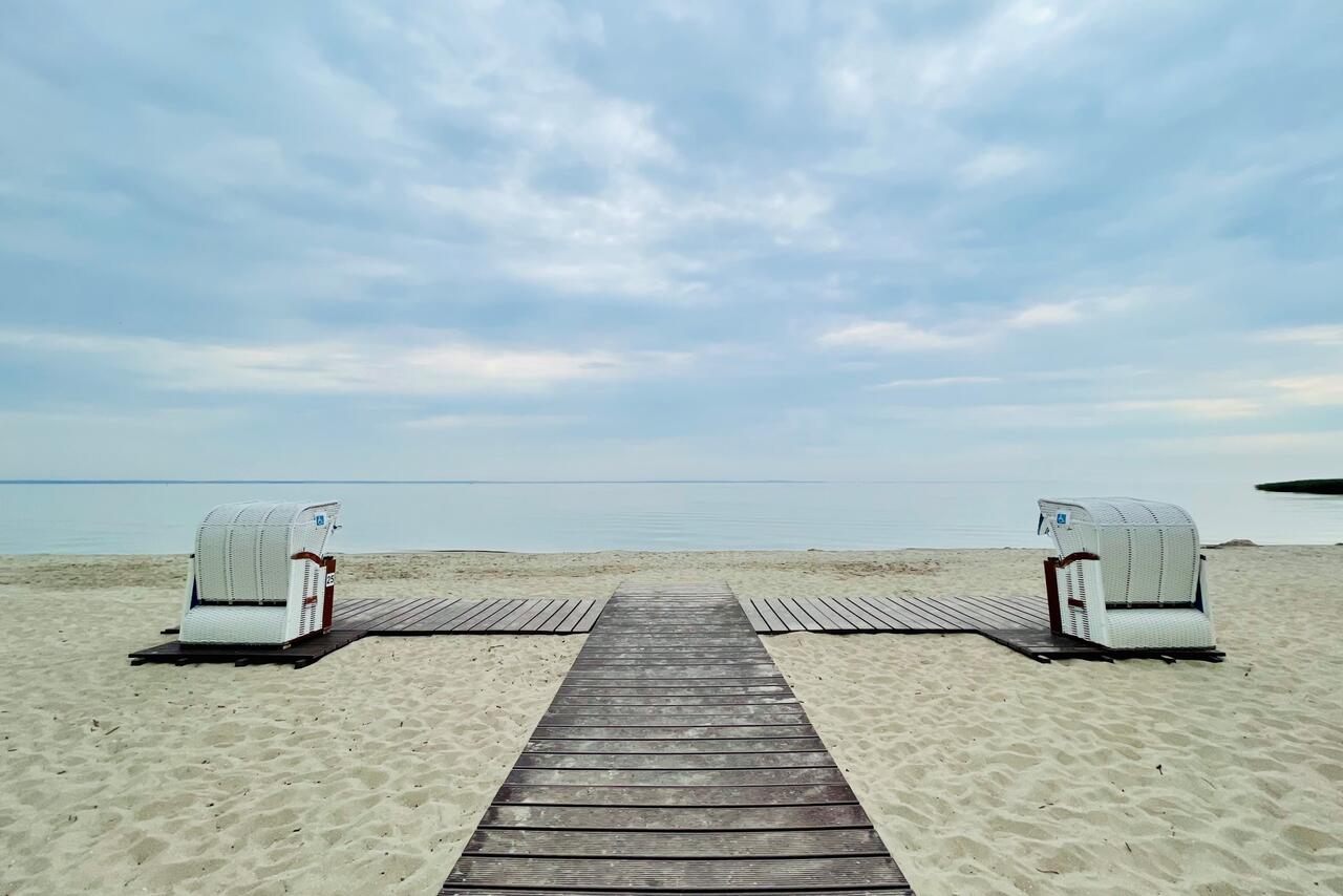 Bild vergr&ouml;&szlig;ern: Strandk&ouml;rbe