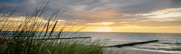 Bild vergr&ouml;&szlig;ern: D�nenlandschaft Vorpommern